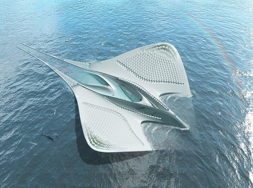 How Finsulate Uses Biomimicry to Fight Fouling