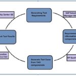 SAP Testing for M&E